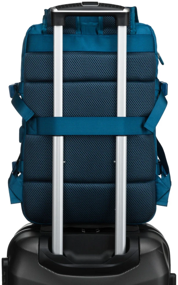 Peterson PTN 24421