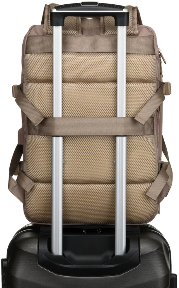 Peterson PTN 24421
