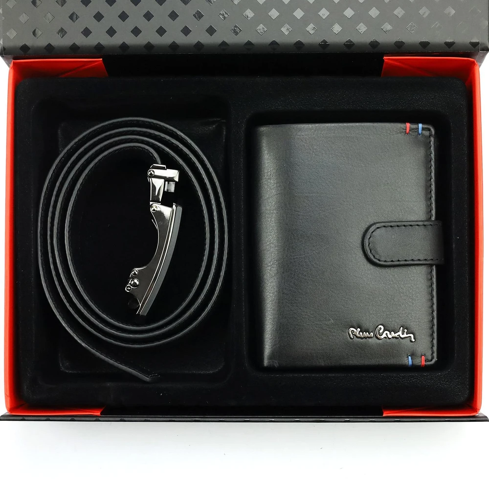 Pierre Cardin ZG-207-BA