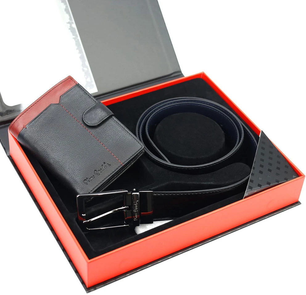Pierre Cardin ZP-001