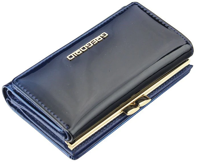 Skórzany damski portfel Gregorio SH-108