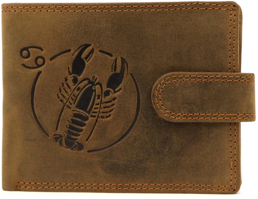Piniginė vyrams Wild L895-008