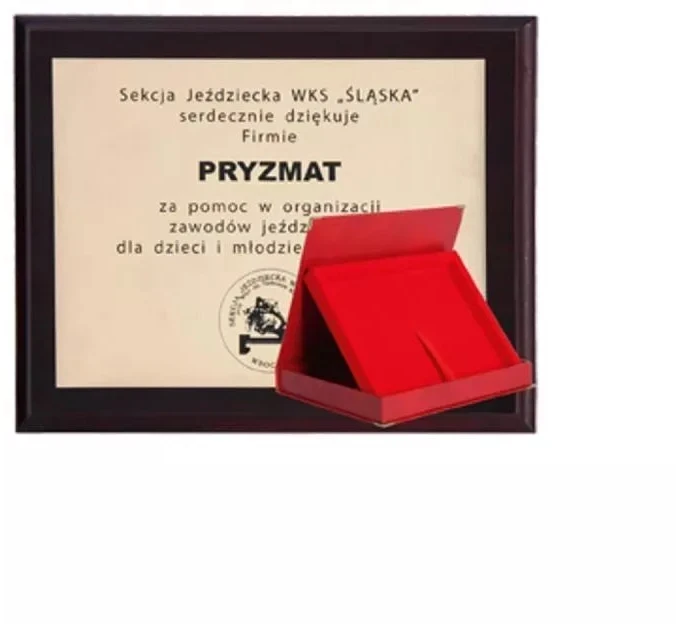Kelioninis Plastikinis diplomas su graviravimu ant laminato ir dėklu 355x300 mm