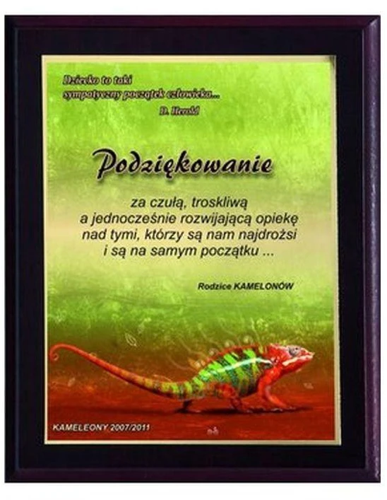 Plastikinis diplomas su spalvotu lietimui jautriu laminatu