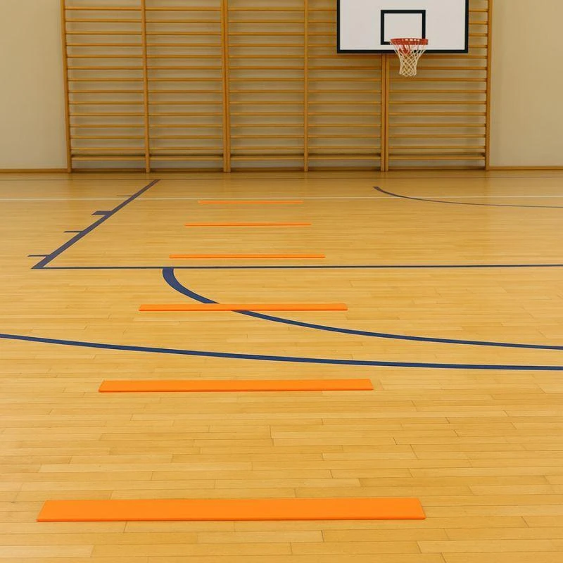 Plokšti lauko žymekliai - dryžiai 51x6cm 10 vnt. ryškiai oranžiniai SMJ sport ZPP-O