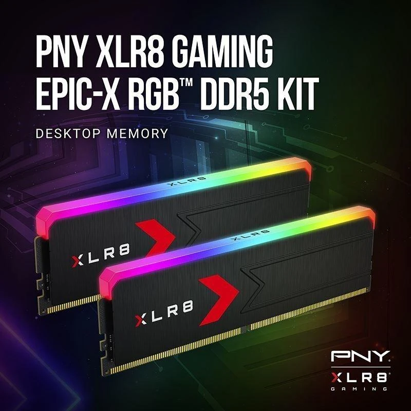 RAM Carruzzo PNY MD32GK2D5600036XRGB atminties modulis 32 GB 2 x 16 GB DDR5 288-pin DIMM