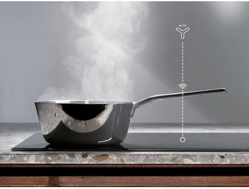 Gartraukis Electrolux LFG516X