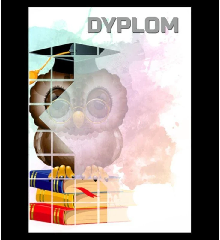Popierinis diplomas - pelėda (25 vnt.) DYP157