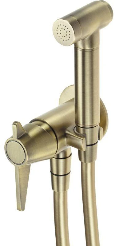 Potinkinis bidė dušelio komplektas Deante Temisto BQT_M34M, Brass