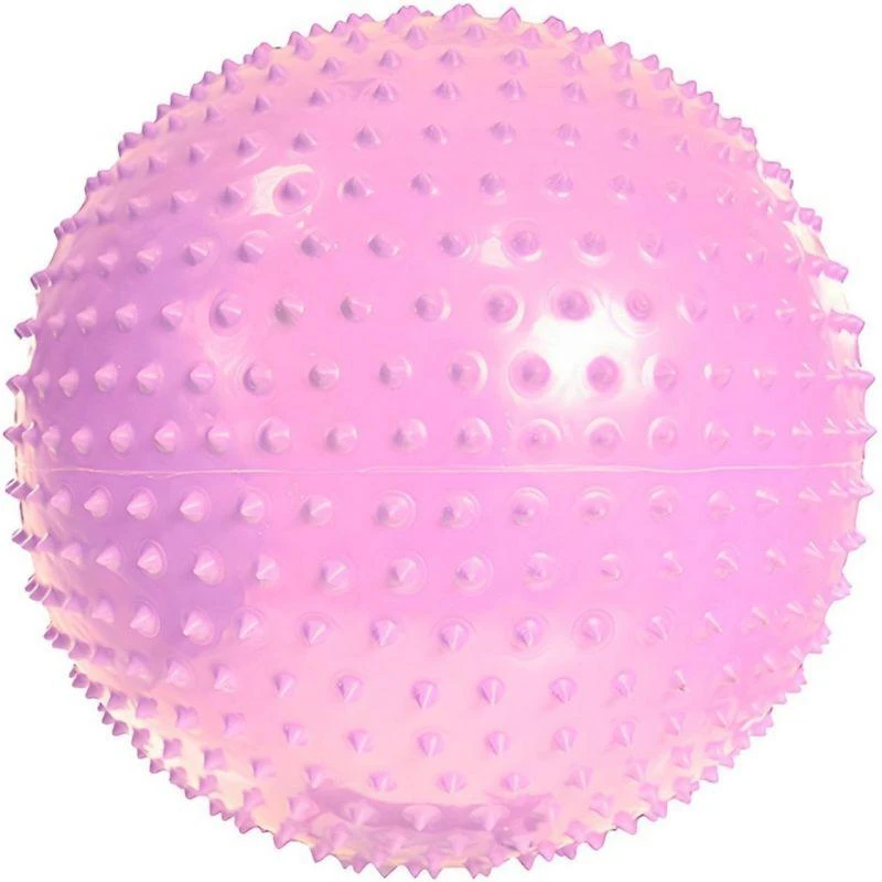 PROFIT Gimnastikos Kamuolys su Masažu 55cm Violetinis DK 2104