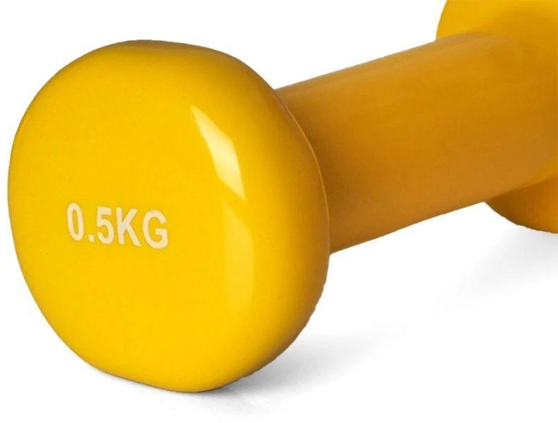 PROfit vinilinis hantelis 0,5kg DK 4102