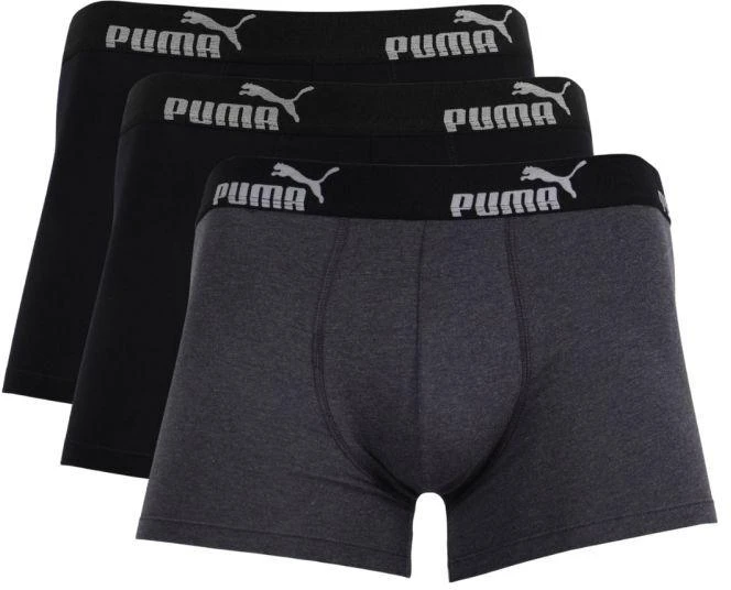 Puma 3 paketų kelnaitės vyrams M 100003547 3730/002 020
