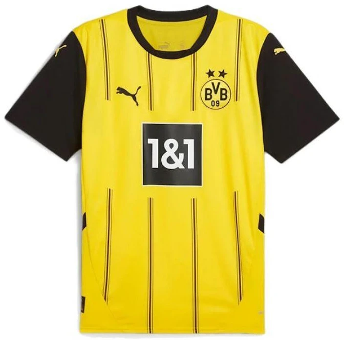 Puma Borussia Dortmund namų "Replica" marškinėliai, dydis M, 774946 01