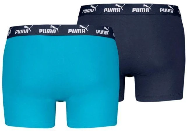 Puma Elements Basic 2P Boxer Shorts M 938753 08