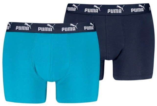 Puma Elements Basic 2P Boxer Shorts M 938753 08