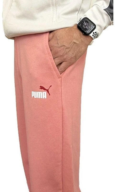 Puma Ess+ 2 Col Logo kelnės M 586768 62