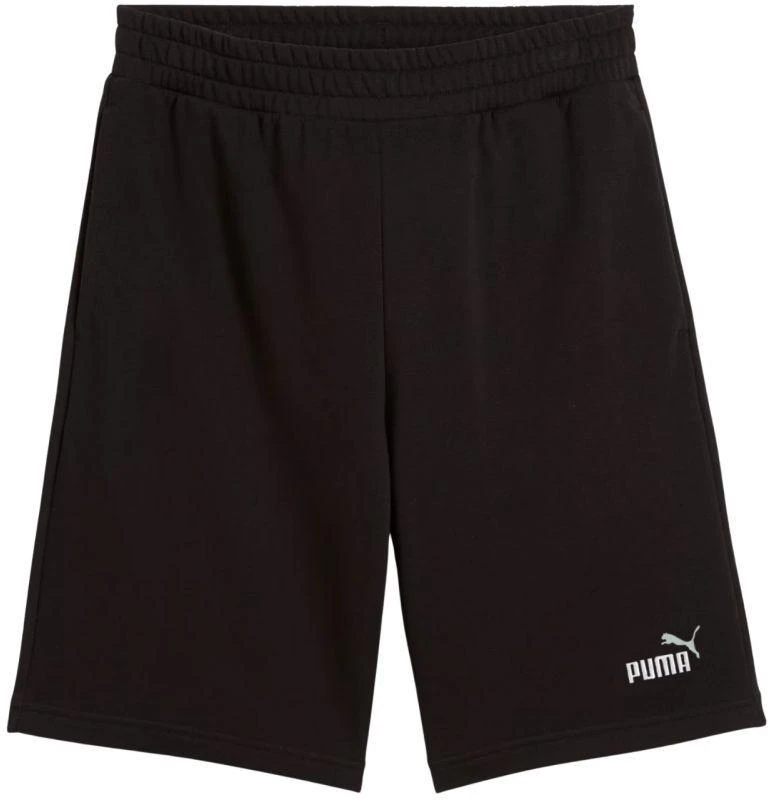 Puma Ess 2 Color No. 1 Logo šortai M 684715 01