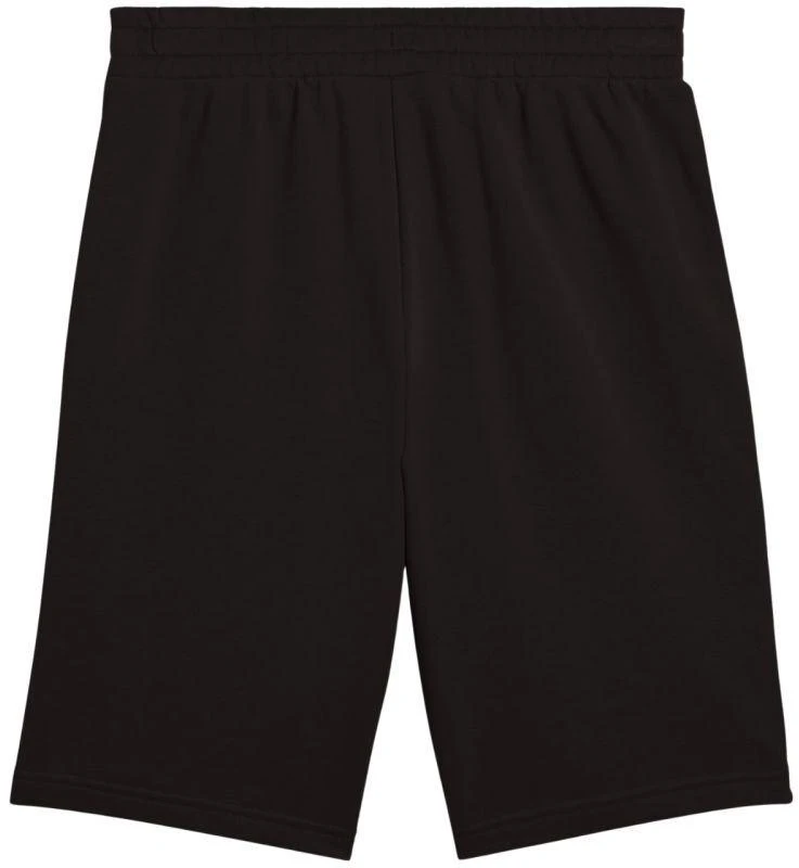Puma Ess 2 Color No. 1 Logo šortai M 684715 01