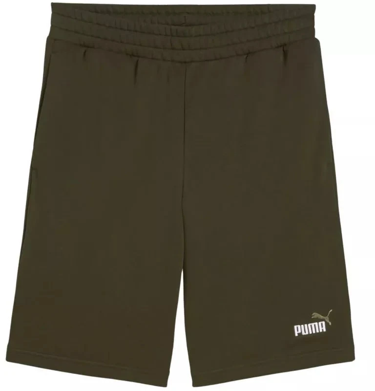 Puma Ess 2 Color No. 1 Logo šortai M 684715 70