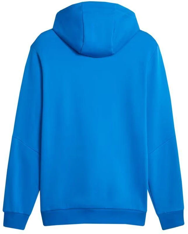 Puma ESS+ Hoodie su juostele FL M 849040 47