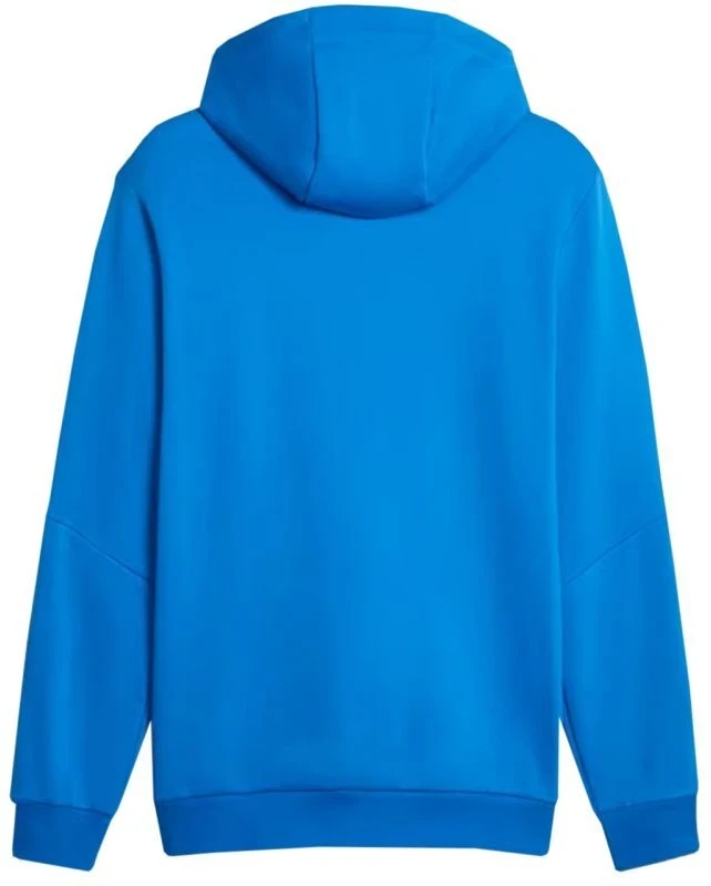 Puma ESS+ Hoodie su juostele FL M 849040 47