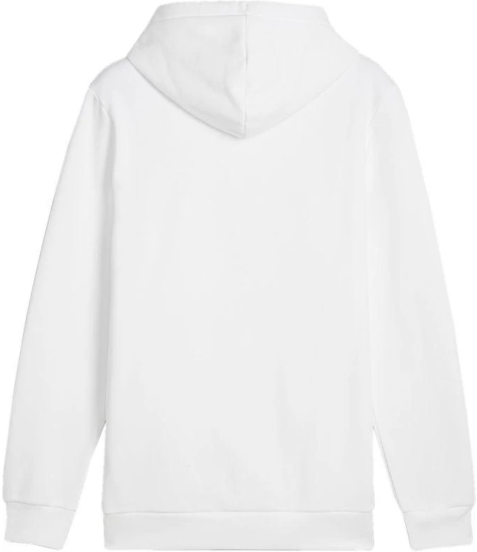 Puma Ess+ Logo LAB Gradientinis džemperis su gobtuvu FL M 681775 02