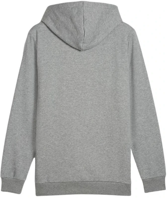 Puma Ess+ Logo LAB Gradientinis džemperis su gobtuvu FL M 681775 03