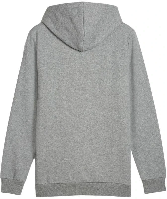 Puma Ess+ Logo LAB Gradientinis džemperis su gobtuvu FL M 681775 03
