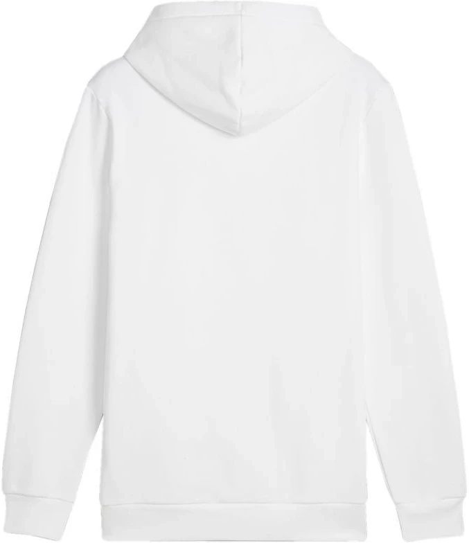 Puma Ess+ Logo LAB Gradientinis džemperis su gobtuvu FL M 681775 02