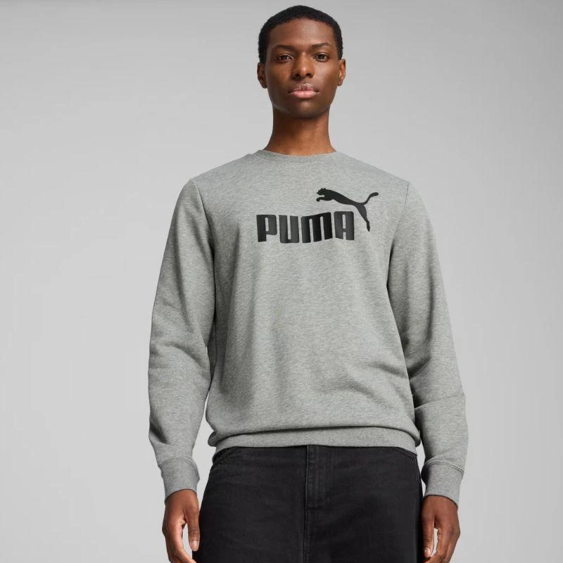 Puma ESS No.1 Logo Crew TR M džemperis 682560 03