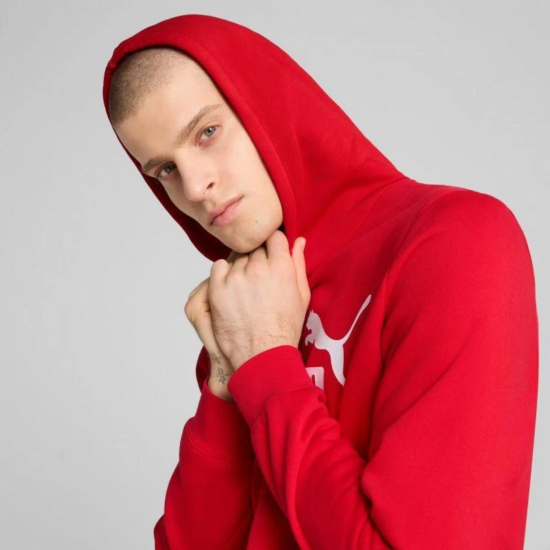 Puma ESS No.1 Logo Hoodie FL M 682570 11