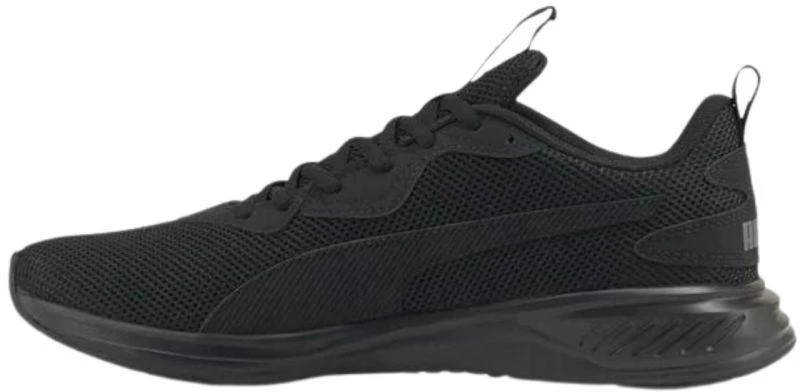Puma Incinerate M 376288 02 avalynė
