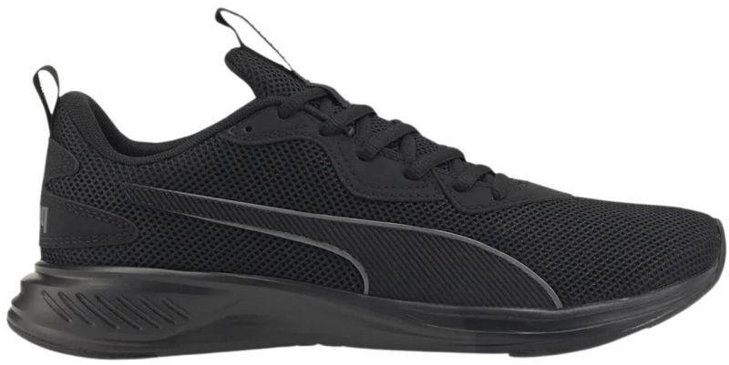 Puma Incinerate M 376288 02 avalynė