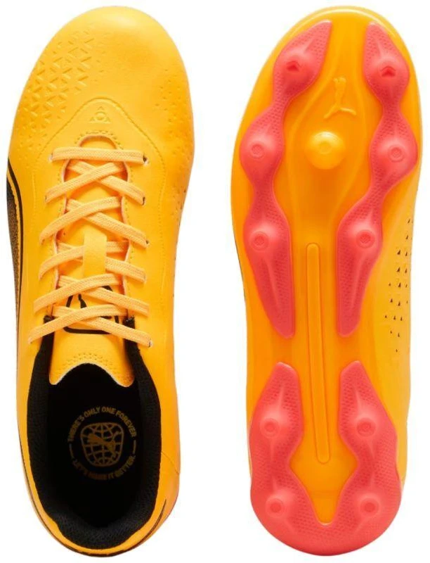 Puma King Match FG/AG Jr 107573 05 futbolo batai