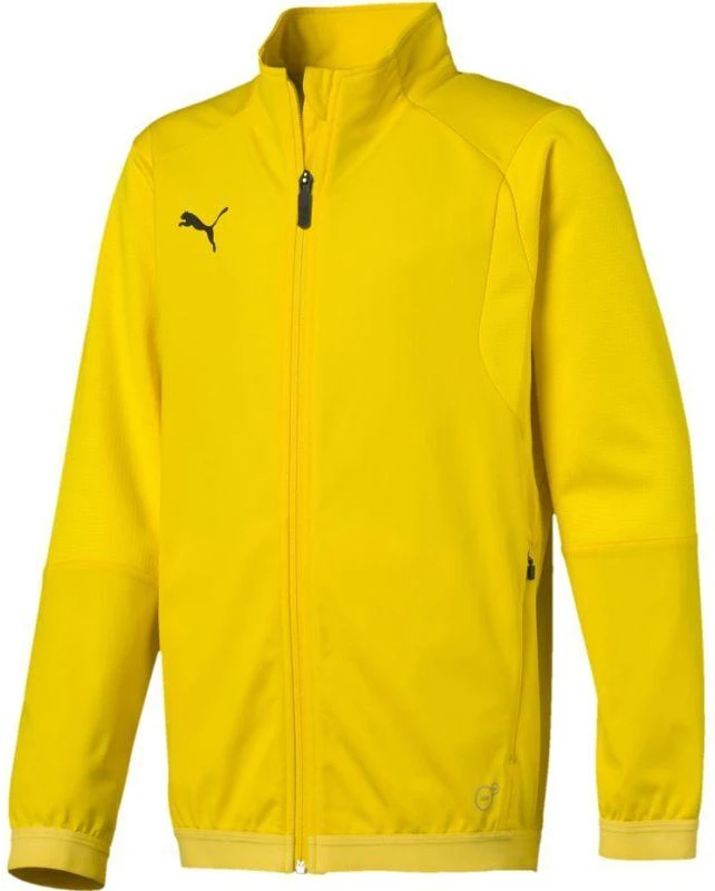 Puma Liga Training Jacket Junior džemperis 655688 07