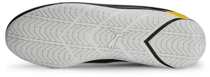 Puma Porsche Legacy RDG Cat 2.0 Motorsport M 307445-01 batai