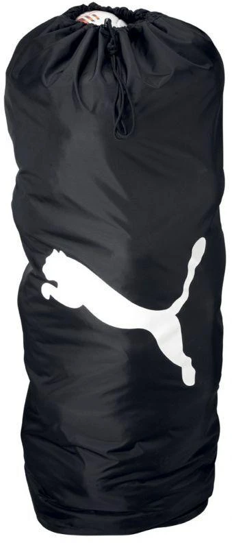 Puma Team Ballsack 16 07237601