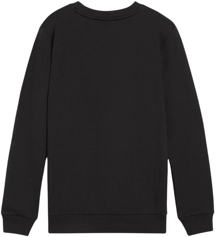 Puma Team Goal Casuals Crew Neck Sweat Jr 658593 03