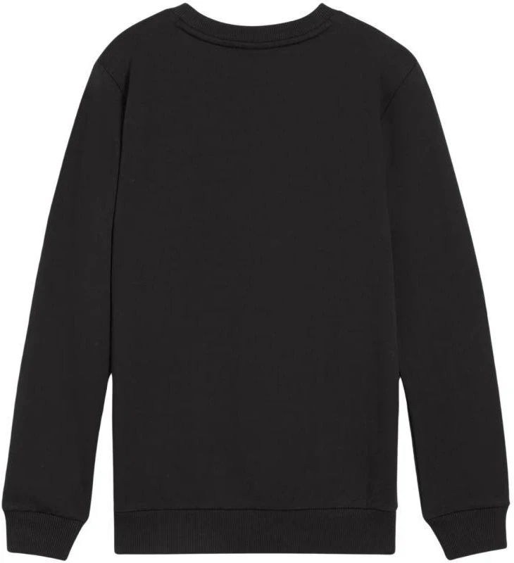 Puma Team Goal Casuals Crew Neck Sweat Jr 658593 03