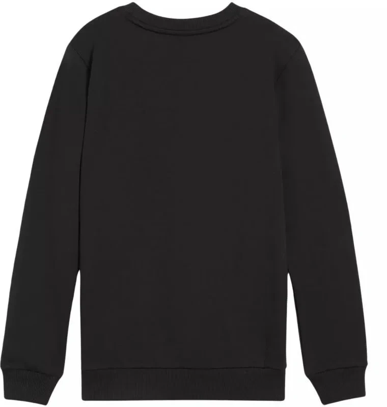 Puma Team Goal Casuals Crew Neck Sweat Jr 658593 03