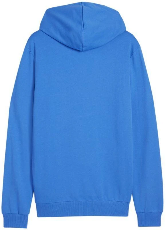 Puma Team Goal Casuals Hoodie M 658618 02