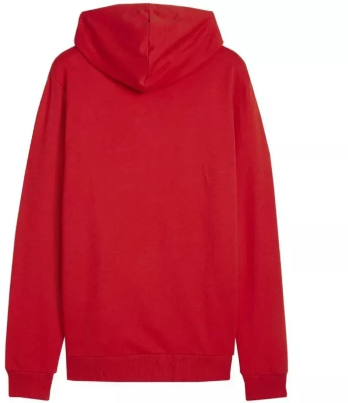 Puma Team Goal Casuals Hoody M 658618 01