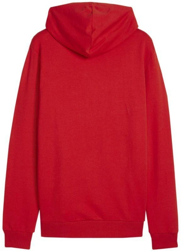 Puma Team Goal Casuals Hoody M 658618 01