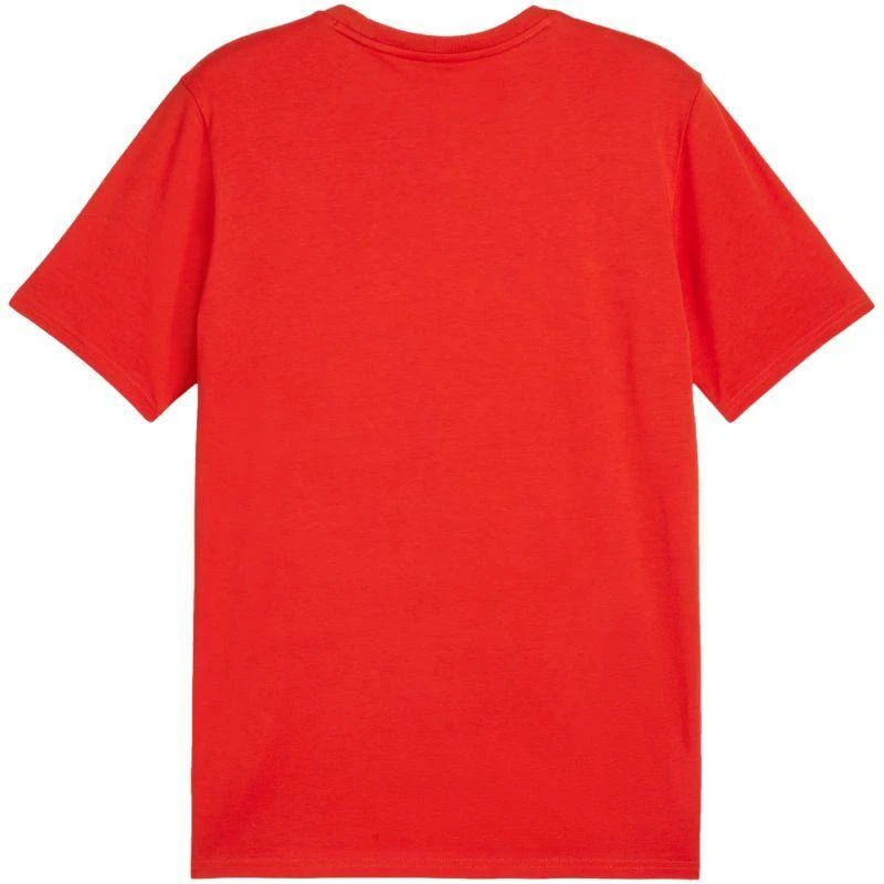 Puma Team Goal Casuals marškinėliai M 658615 01