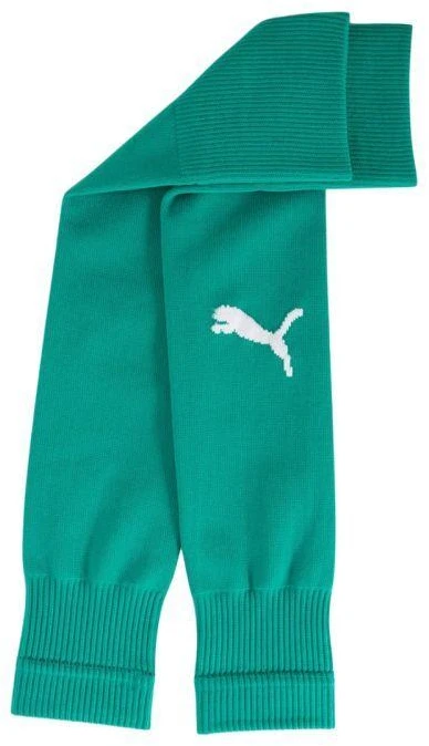 Puma Team Goal Futbolo Rankovės Žalios 706028 05