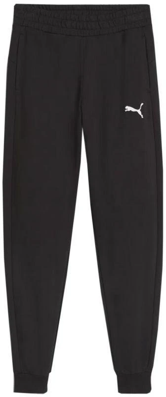 Puma Team Goal Jr. Kelnės 658601 03