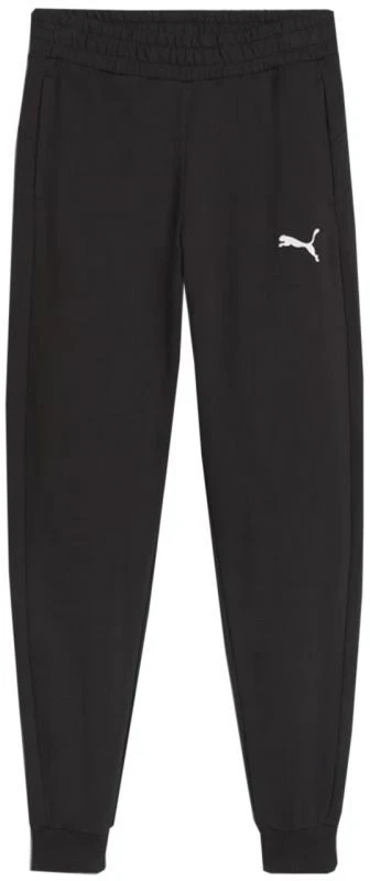 Puma Team Goal Jr. Kelnės 658601 03
