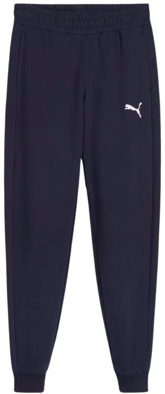 Puma Team Goal Jr kelnės 658601 06