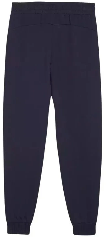 Puma Team Goal Jr kelnės 658601 06