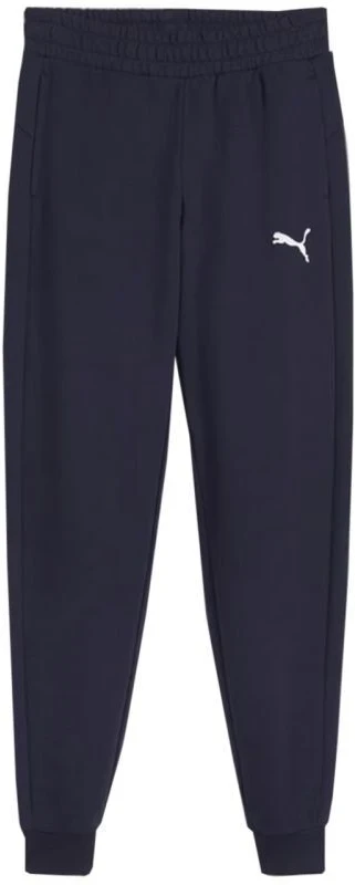 Puma Team Goal Jr kelnės 658601 06
